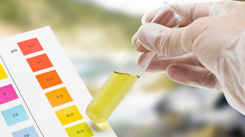 A person conducting an outdoor pH test for well water quality with a blurred natural background.