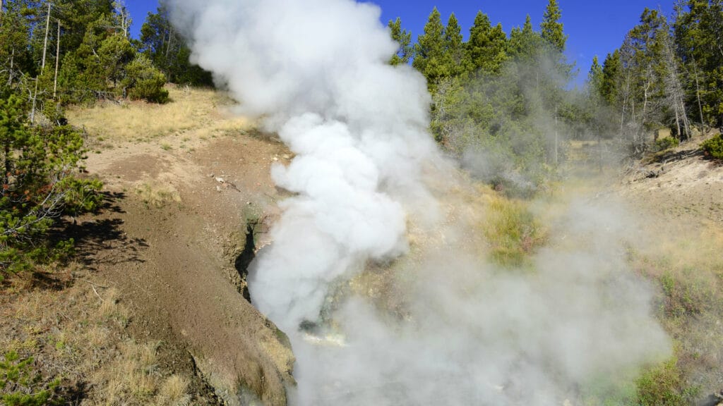 Steam rising from natural geothermal vents in a forest, showcasing Earth's heat