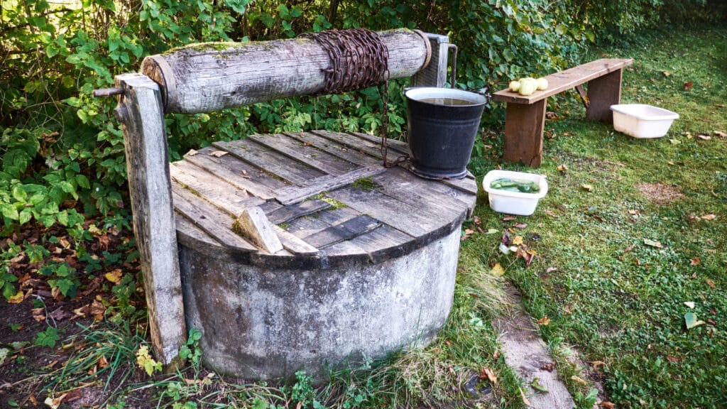 Old water well with wooden cover and bucket, surrounded by greenery